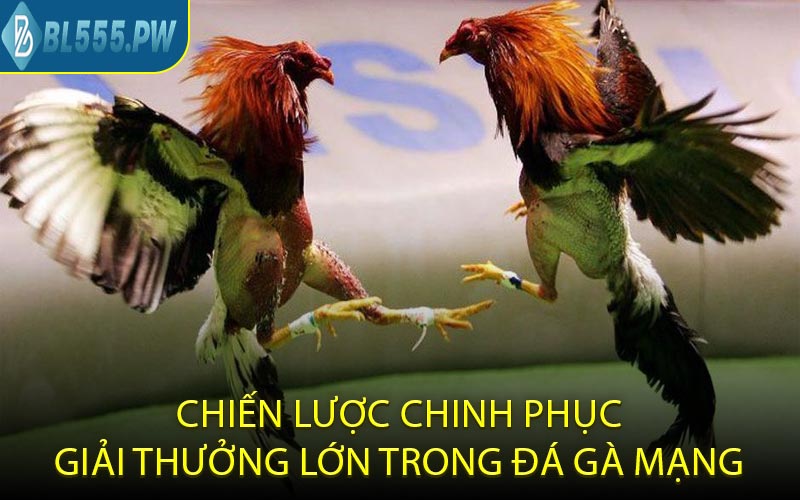 Chiến lược chinh phục giải thưởng lớn trong đá gà mạng