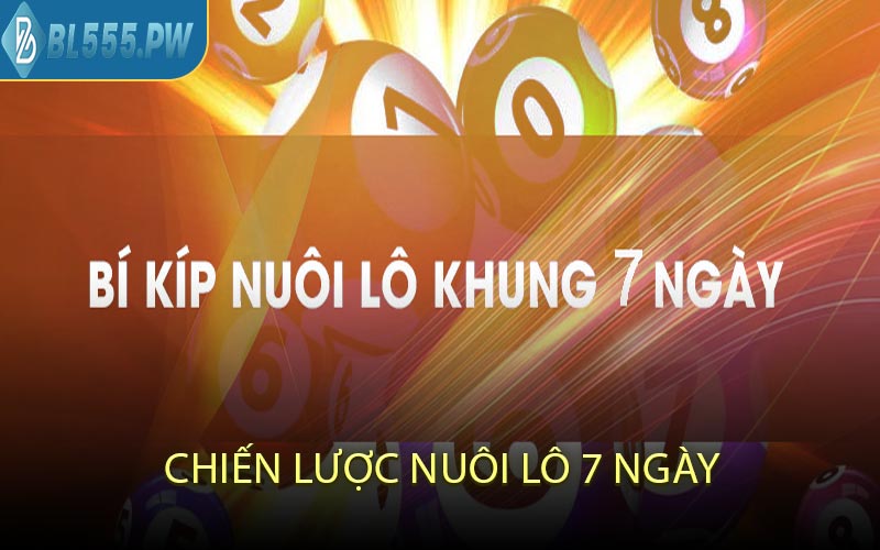 Chiến Lược Nuôi Lô 7 Ngày