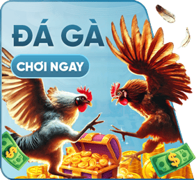 đá gà