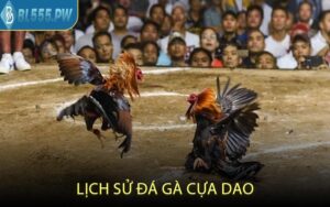Lịch Sử Đá Gà Cựa Dao