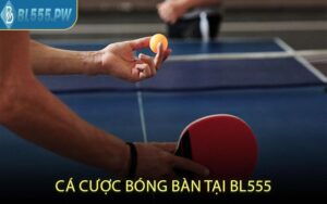 Cá Cược Bóng Bàn Tại BL555