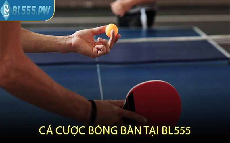 Cá Cược Bóng Bàn Tại BL555