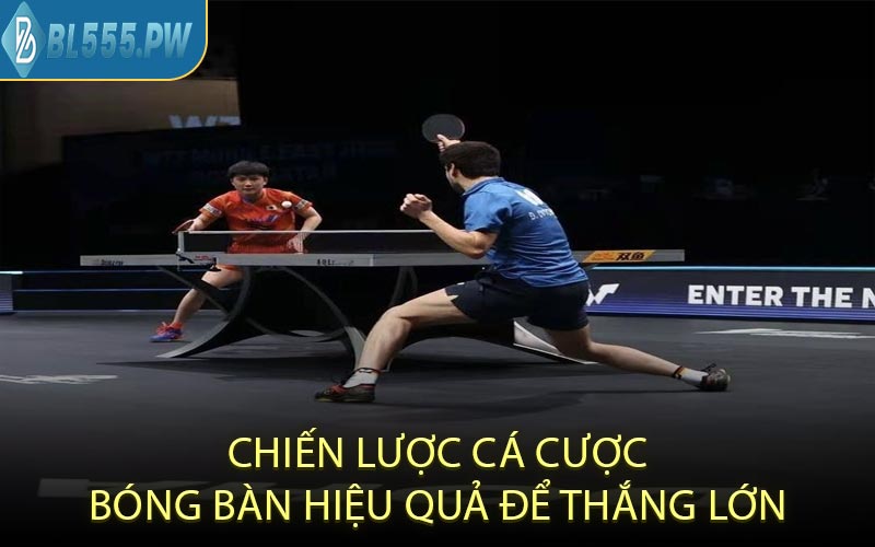Chiến Lược Cá Cược Bóng Bàn Hiệu Quả Để Thắng Lớn