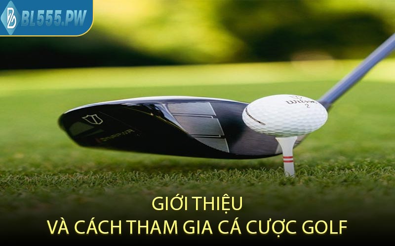 Giới Thiệu Và Cách Tham Gia Cá Cược Golf